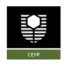 Curtin University, CEFP